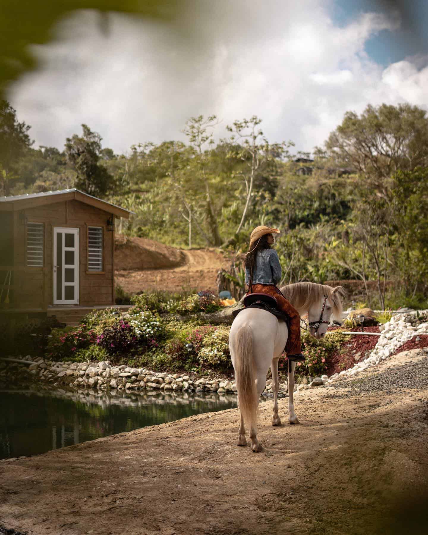 hotels puerto rico hyatt