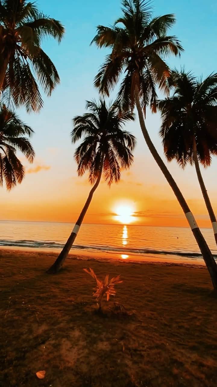 how to find someone in puerto rico