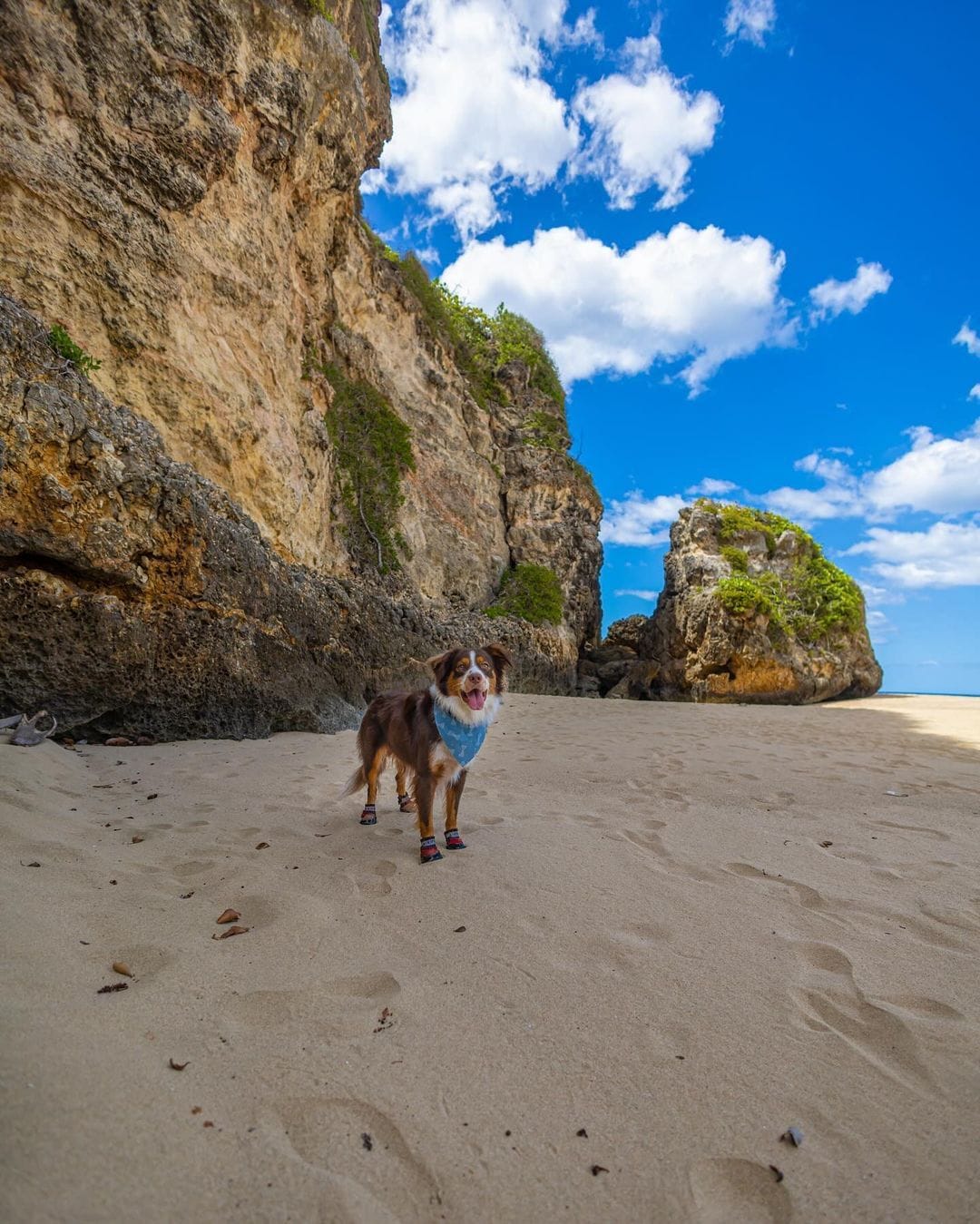 3 things puerto rico is known for