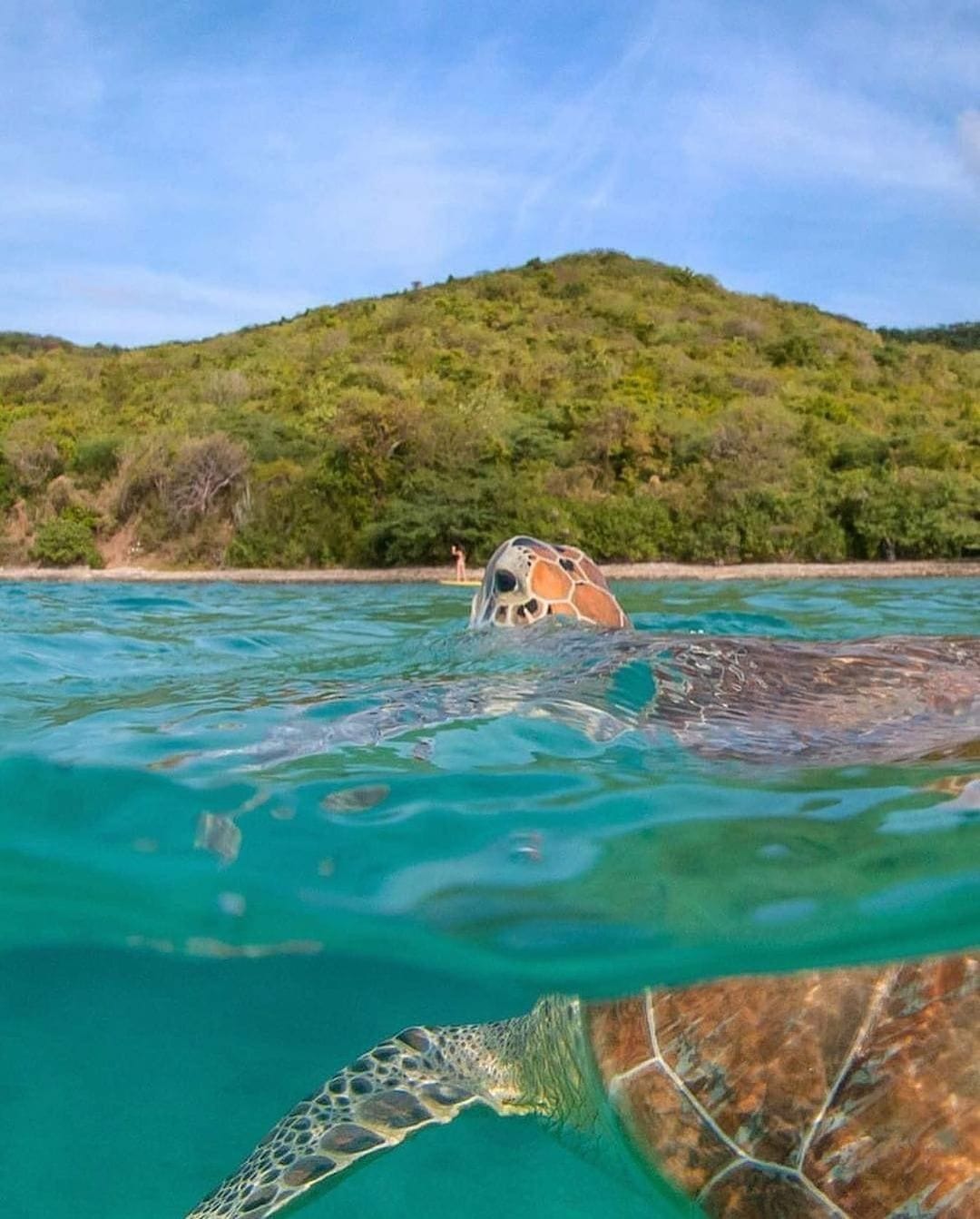 best puerto rico tours
