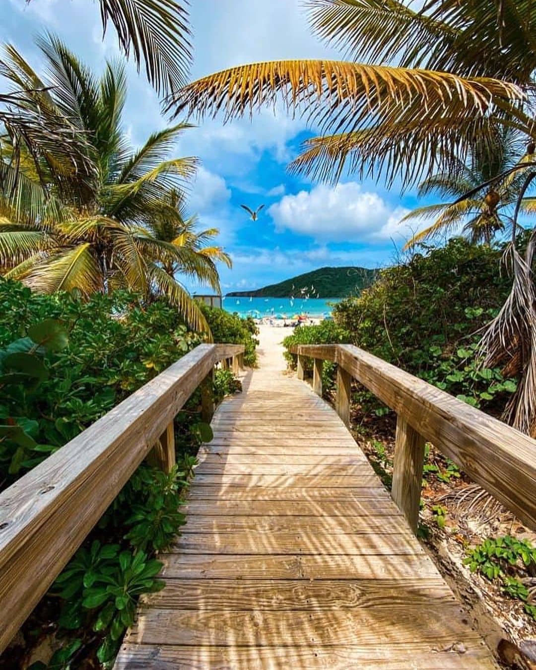 best resorts in puerto rico for couples