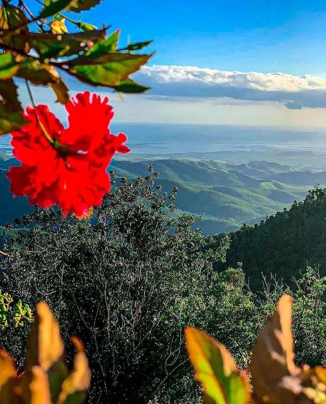 does puerto rico use usd