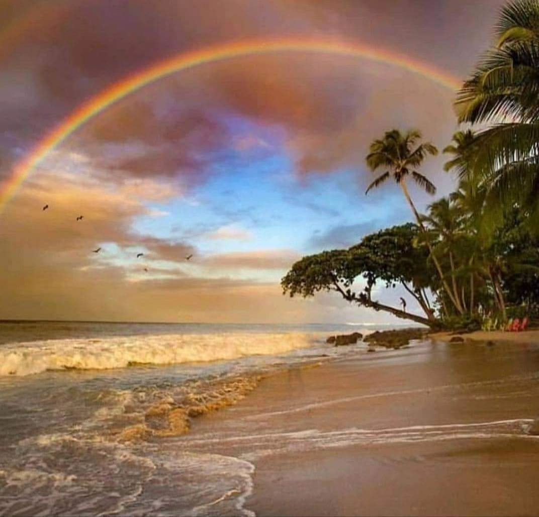 How Much Does it Cost to Go to Puerto Rico for a Week? Breakdown of