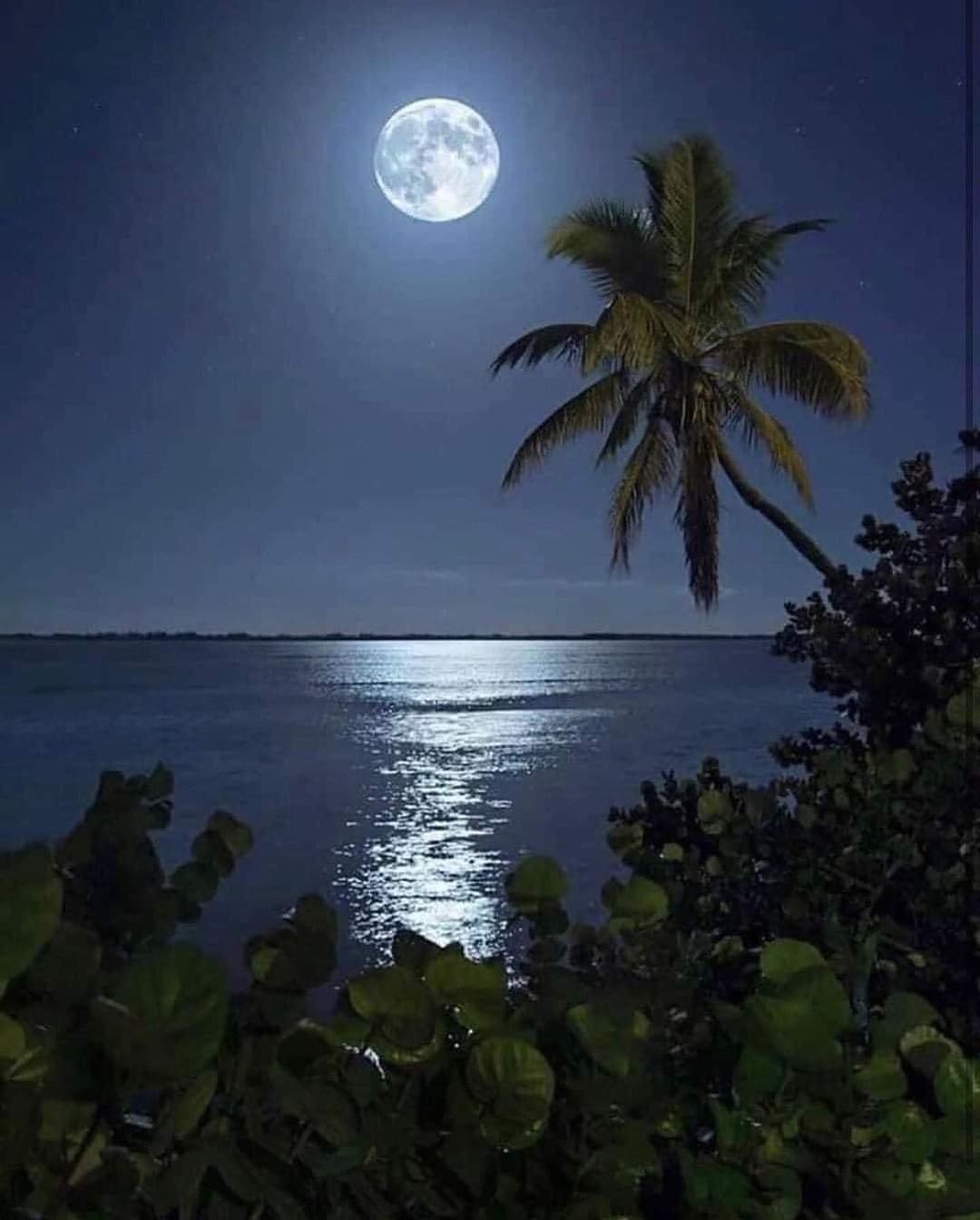 puerto rico or bahamas