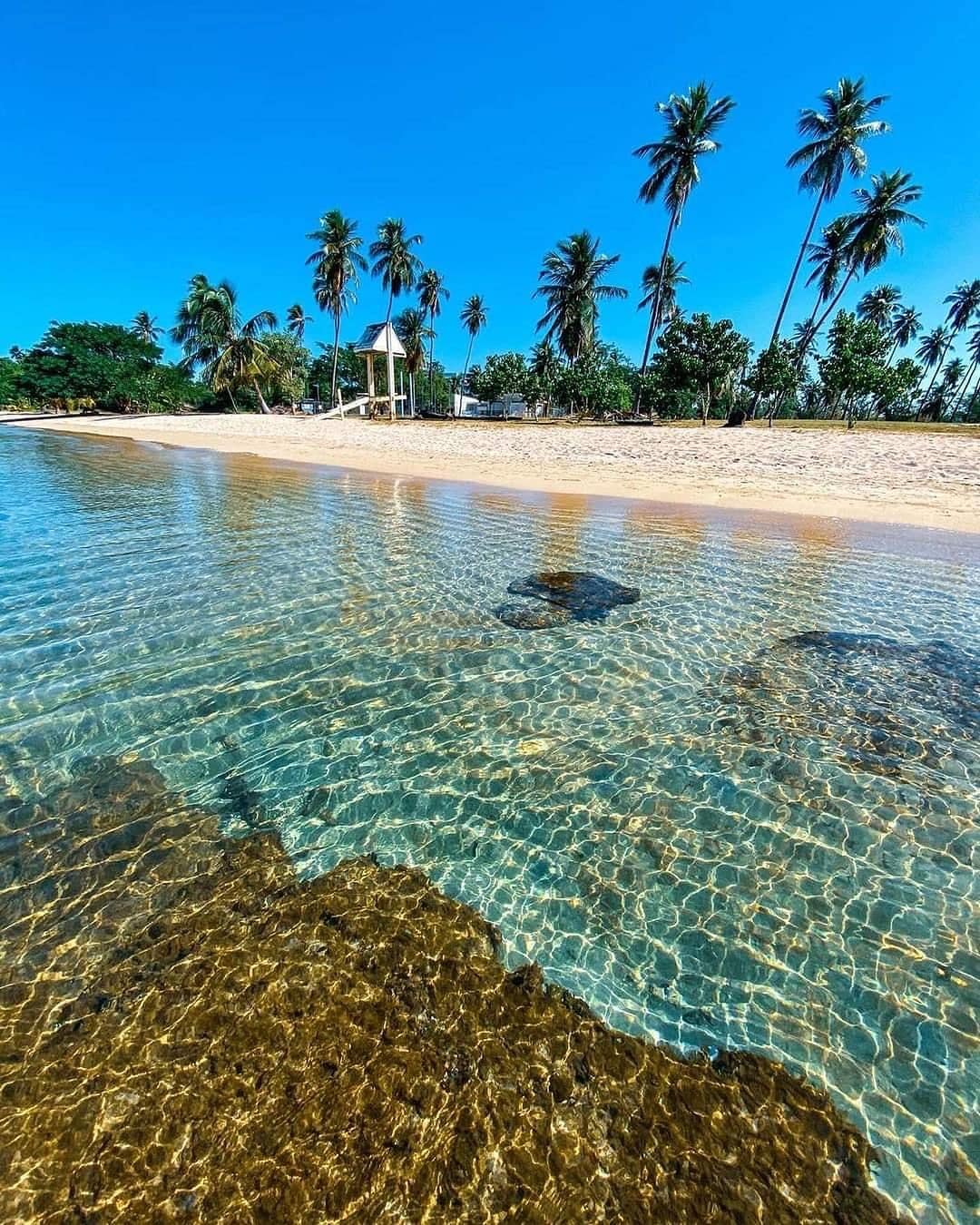 puerto rico or miami