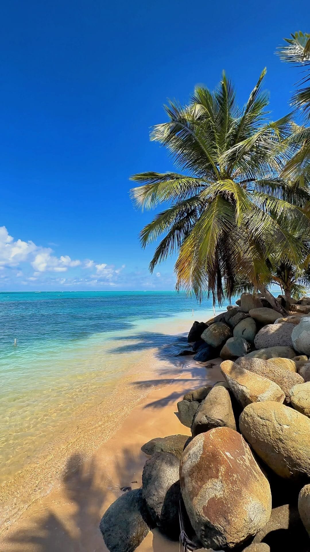 top 10 puerto rico hotels