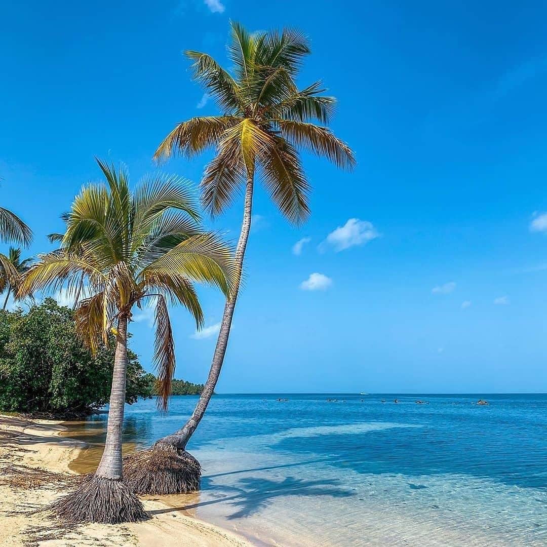 top 10 puerto rico
