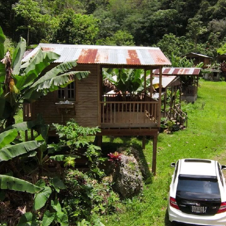 best coffee tours in puerto rico