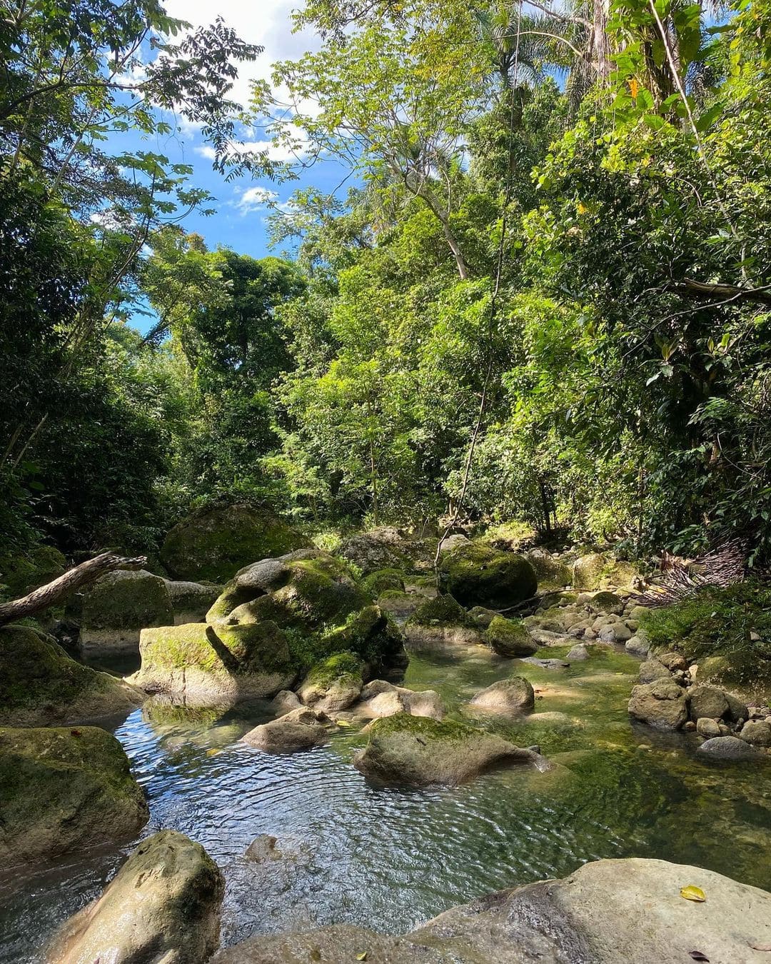 best day trips puerto rico