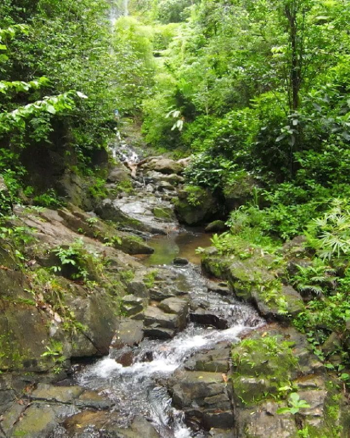 best place in puerto rico for families