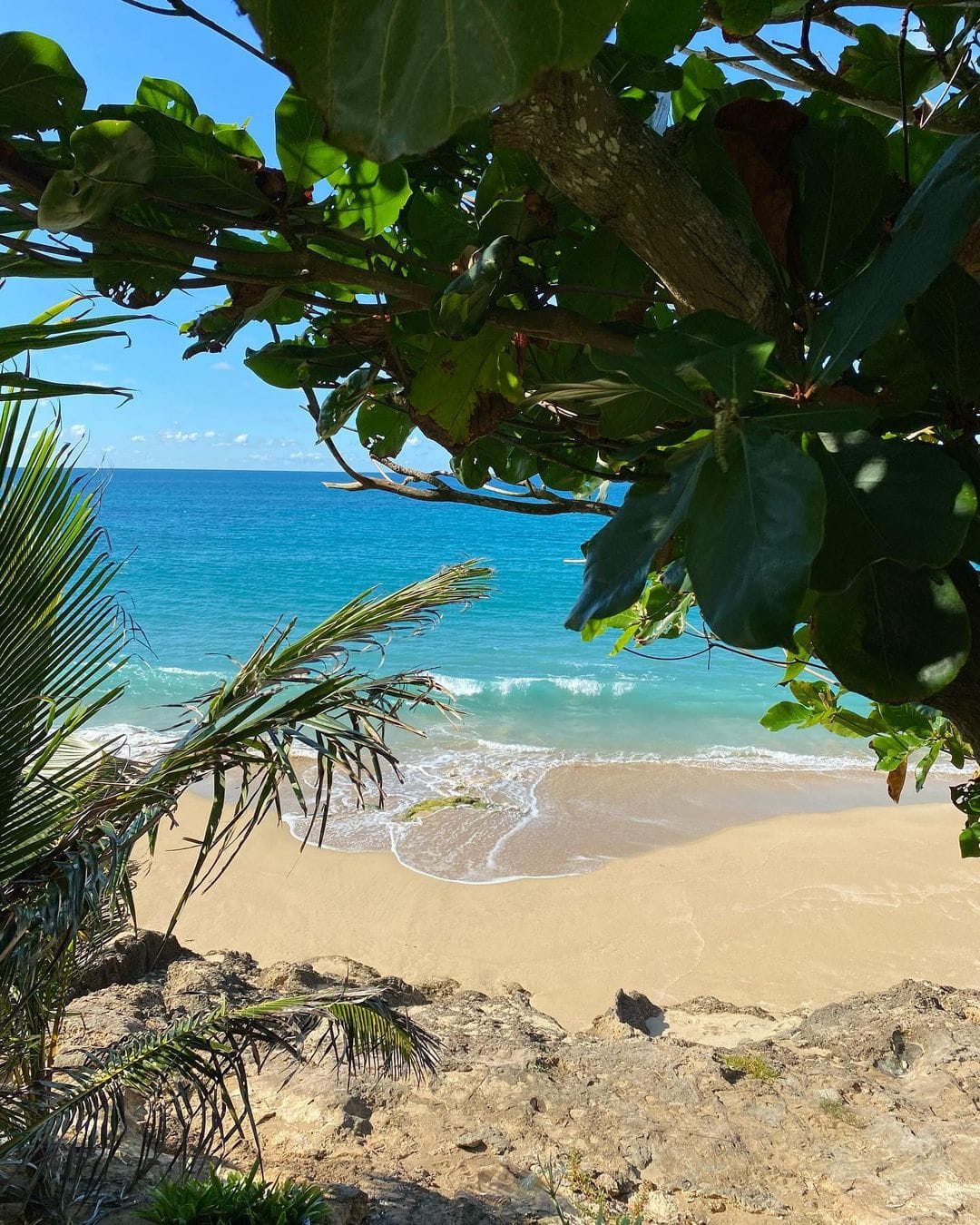 best san juan tours