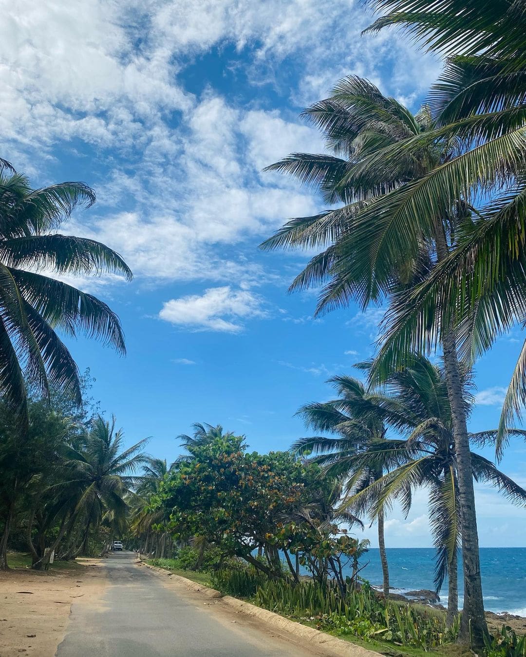 best utv tour puerto rico